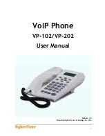 Preview for 1 page of Hybertone VP-102 User Manual