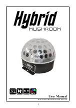 Hybrid MUSHROOM User Manual предпросмотр