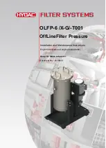 HYDAC FILTER SYSTEMS OLFP-6 /X-G/-T001 Installation And Maintenance Instructions Manual preview