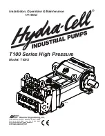 Preview for 1 page of Hydra-Cell T100S Installation, Operation & Maintenance Manual