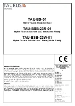 hyfire TAURUS TAU-BS-01 Manual preview