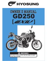 HYOSUNG GD250 Owner'S Manual предпросмотр