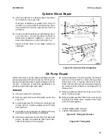 Предварительный просмотр 19 страницы Hyster D010 Safety Precautions Maintenance And Repair