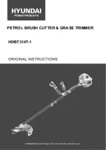 Hyundai power products HDBT314T-1 Original Instructions Manual preview