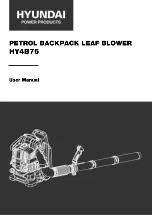 Hyundai power products HY4B76 User Manual preview