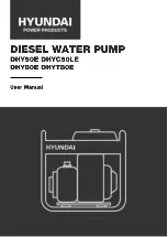 Hyundai DHY50E User Manual preview