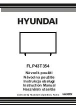 Hyundai FLP43T354 Instruction Manual preview