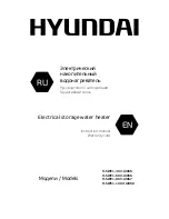 Hyundai H-SWE1-100V-UI068 Instruction Manual preview