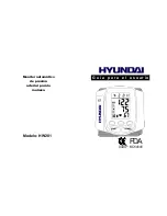 Предварительный просмотр 21 страницы Hyundai HW201 Instructions Manual