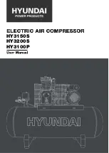 Hyundai HY3100P User Manual preview