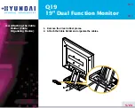 Preview for 10 page of Hyundai ImageQuest Q19 User Manual