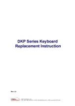 I-Tech DKP Series Replacement Instructions preview