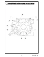 Предварительный просмотр 50 страницы IAME X30 125cc RL - TaG Assembly Instructions & User Manual