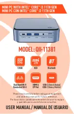 iAN QII-11381 User Manual preview