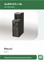 IBA BM-DIS-i-8o Manual предпросмотр