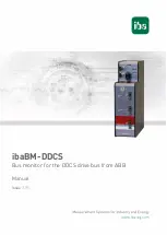 IBA ibaBM-DDCS Manual preview