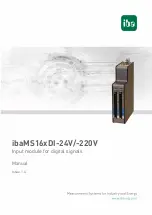 IBA ibaMS16-DI-24V Series Manual preview