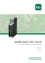 IBA ibaMS16xAO-10V/-20mA Manual preview