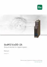 IBA ibaMS16xDO-2A Manual предпросмотр