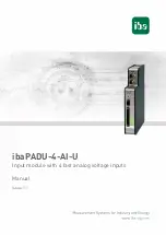 IBA ibaPADU-4-AI-U Manual preview