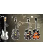 Предварительный просмотр 10 страницы Ibanez A100LE NT Brochure