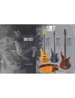 Предварительный просмотр 12 страницы Ibanez A100LE NT Brochure