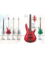 Предварительный просмотр 14 страницы Ibanez Ambiance Series A200E Brochure