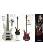 Preview for 18 page of Ibanez Ambiance Series A200E Brochure