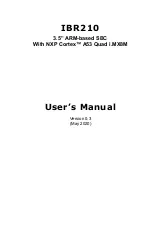 IBASE Technology IBR210 User Manual preview