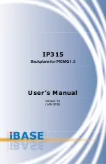 IBASE Technology IP315 User Manual preview