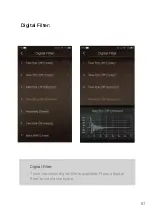 Предварительный просмотр 58 страницы iBasso Audio DX220 MAX User Manual