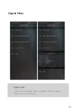 Preview for 53 page of iBasso Audio DX300 User Manual