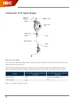 Предварительный просмотр 2 страницы IBC SFC-199 Fuel Conversion Instructions