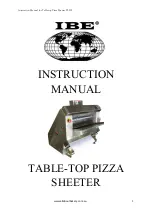 IBE PS500 Instruction Manual preview