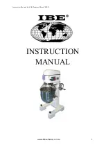 Предварительный просмотр 1 страницы IBE TF40B-HP Instruction Manual