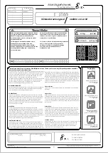 IBEX 10008371 Mounting Instruction preview