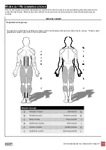 Предварительный просмотр 12 страницы IBF IRON BODY FITNESS Motion Series Owner'S Manual