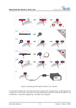 Предварительный просмотр 15 страницы ibidi 12170 Instruction Manual