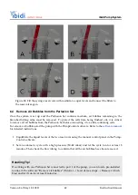 Preview for 42 page of ibidi ibidi Pump System Instruction Manual