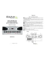 Ibiza 15-5001 User Manual preview