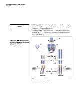 Preview for 17 page of IBM DATA MIGRATION SERVICES - Brochure