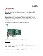 IBM RedbooksQLogic 8200 Product Manual preview