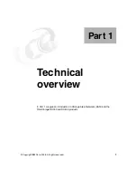 Preview for 19 page of IBM TotalStorage DS300 Best Practices Manual