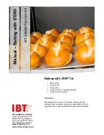 IBT STIR Manual предпросмотр