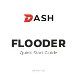 IC Realtime DASH FLOODER Quick Start Manual preview