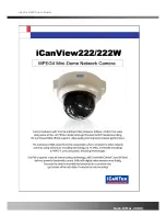 iCanTek iCanView 222 User Manual предпросмотр