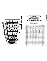 Preview for 13 page of ICARO CYBER2 User Manual