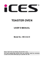 iCES IEO-42L10 User Manual предпросмотр