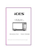 iCES IMO 30LS41S Manual предпросмотр