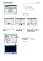 Предварительный просмотр 31 страницы iCharger 456DUO User Manual